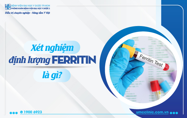 ferritin là gì