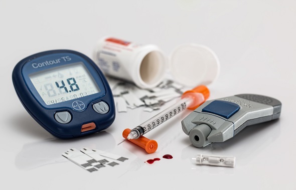 Cây đuôi chuột chữa bệnh tiểu đường và cách sử dụng